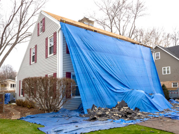 Affordable siding repair and maintenance services in Linden, AZ