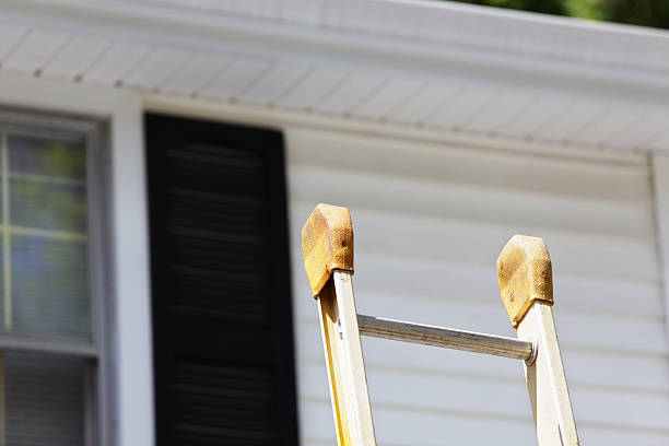Best Residential Vinyl Siding Installation  in Linden, AZ